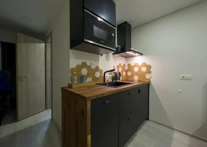 Comfortable Center Apartment