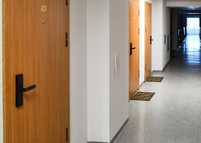 Apartment Comfortable Center *